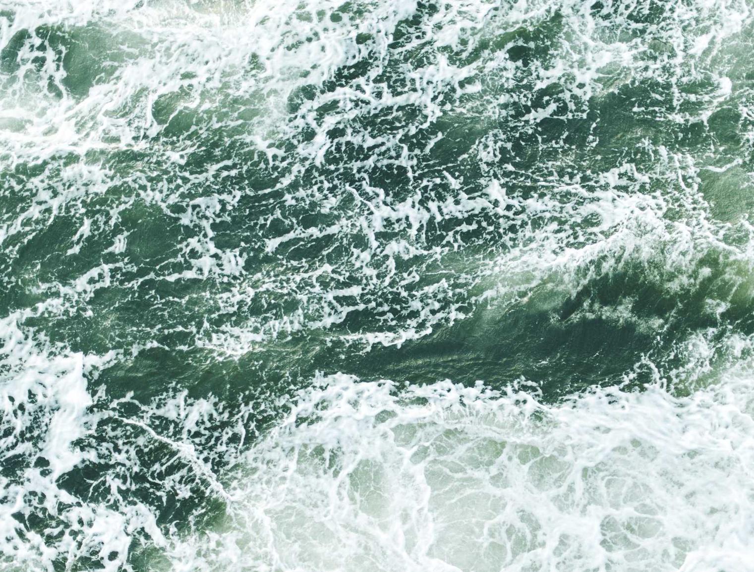 罐装东方之珠奶茶:浙大优学课程购买平台