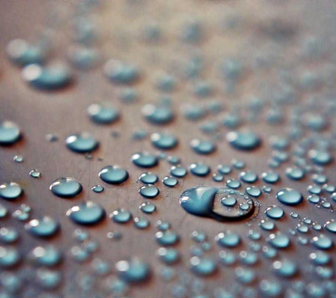 技术支持是否会对游戏评价产生影响？