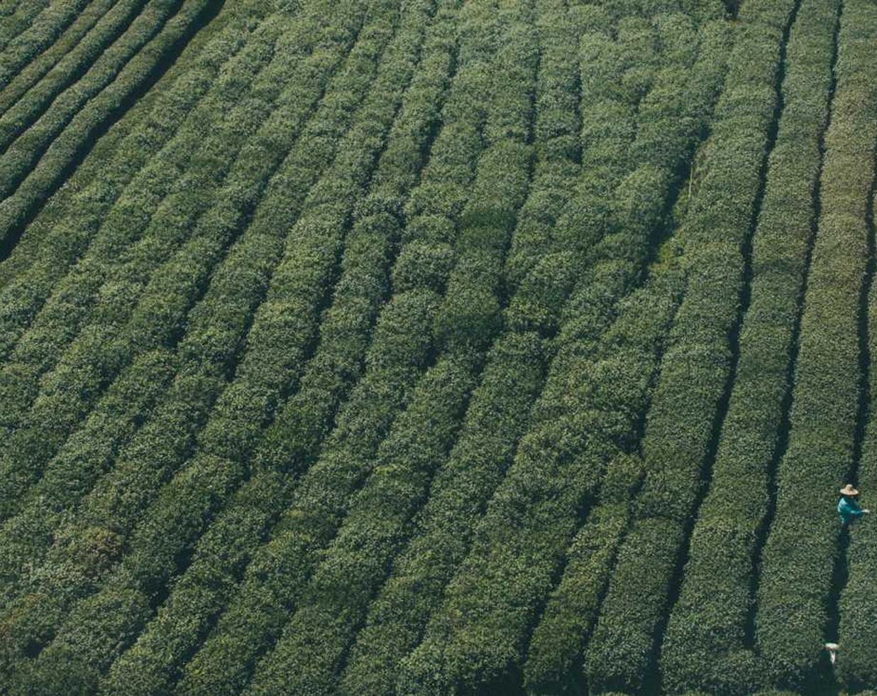 战神遗迹：购买鱼杆平台