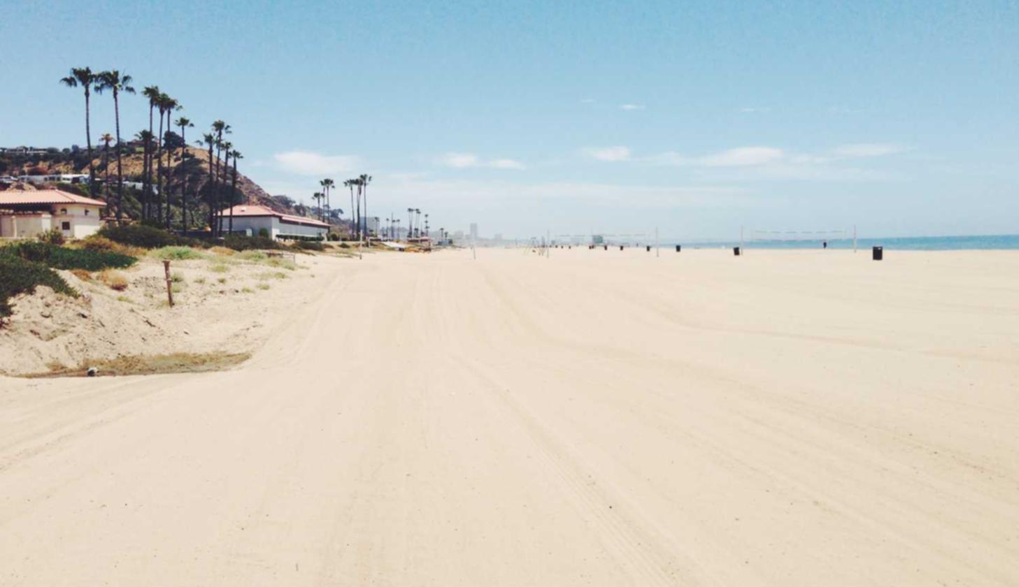 技术支持辅助的理论、算法和程序设计