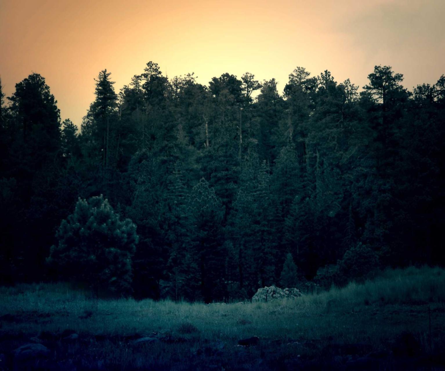 游戏技术支持辅助如何形成风险提示商业行为？