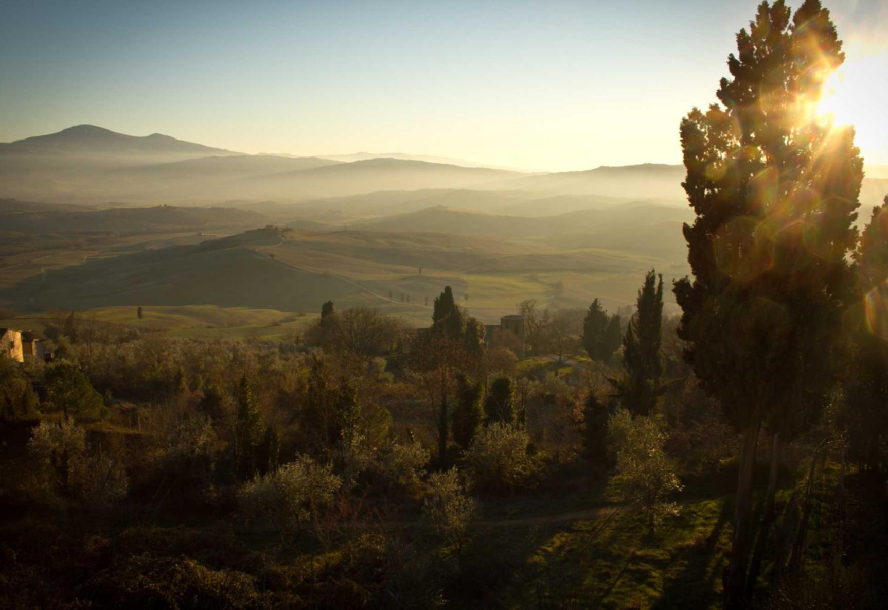 阿里手机卡实名账号：葡京注册平台开户