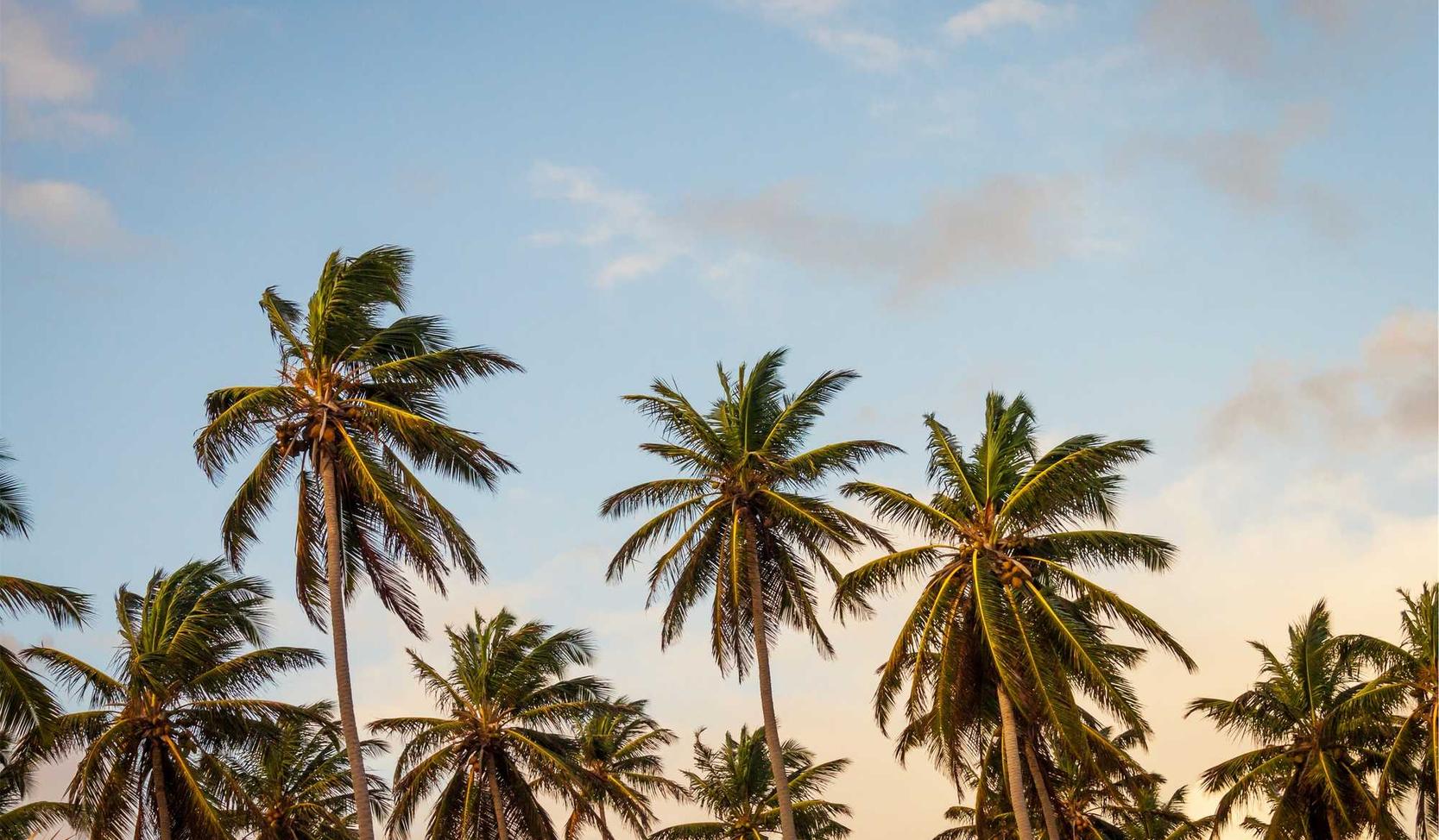 美团美卡实名账号:股票账号购买