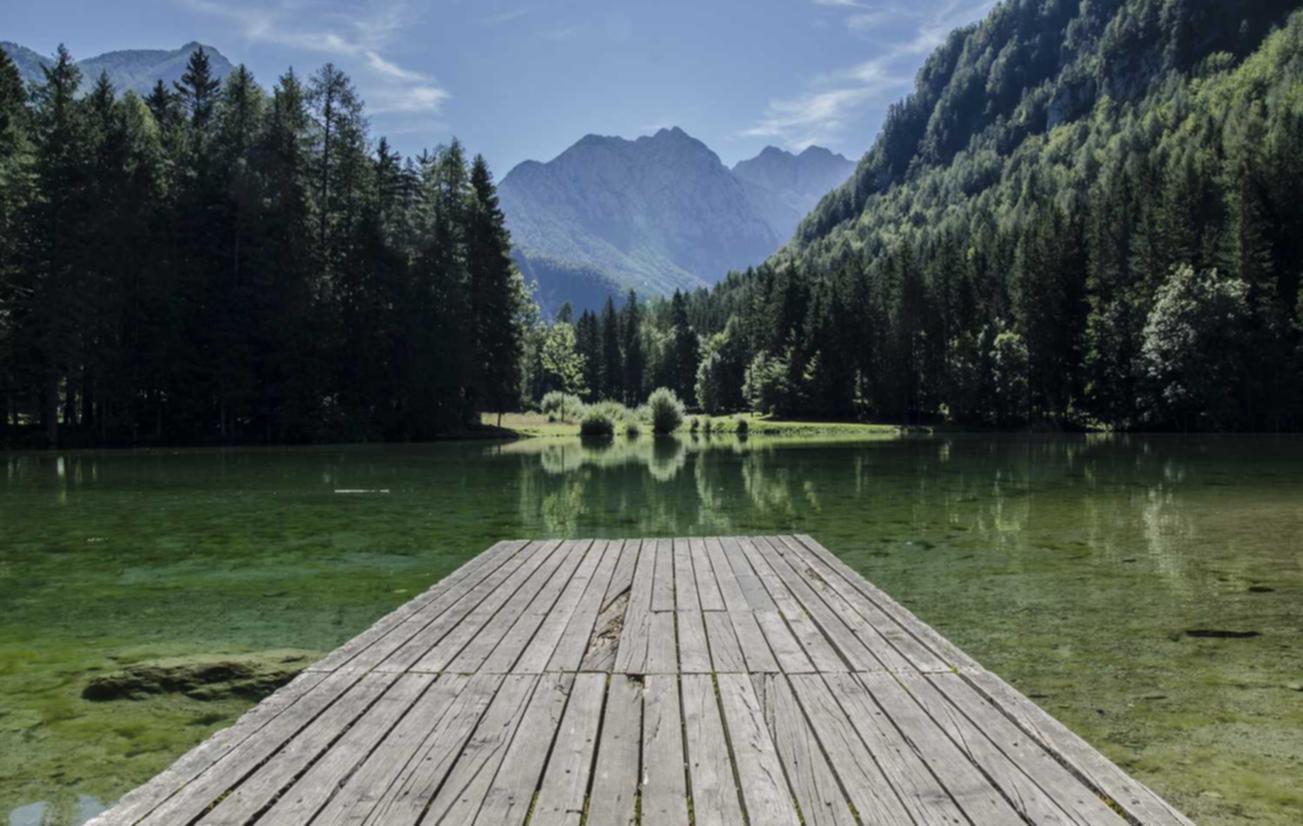 雾森：智连代理注册