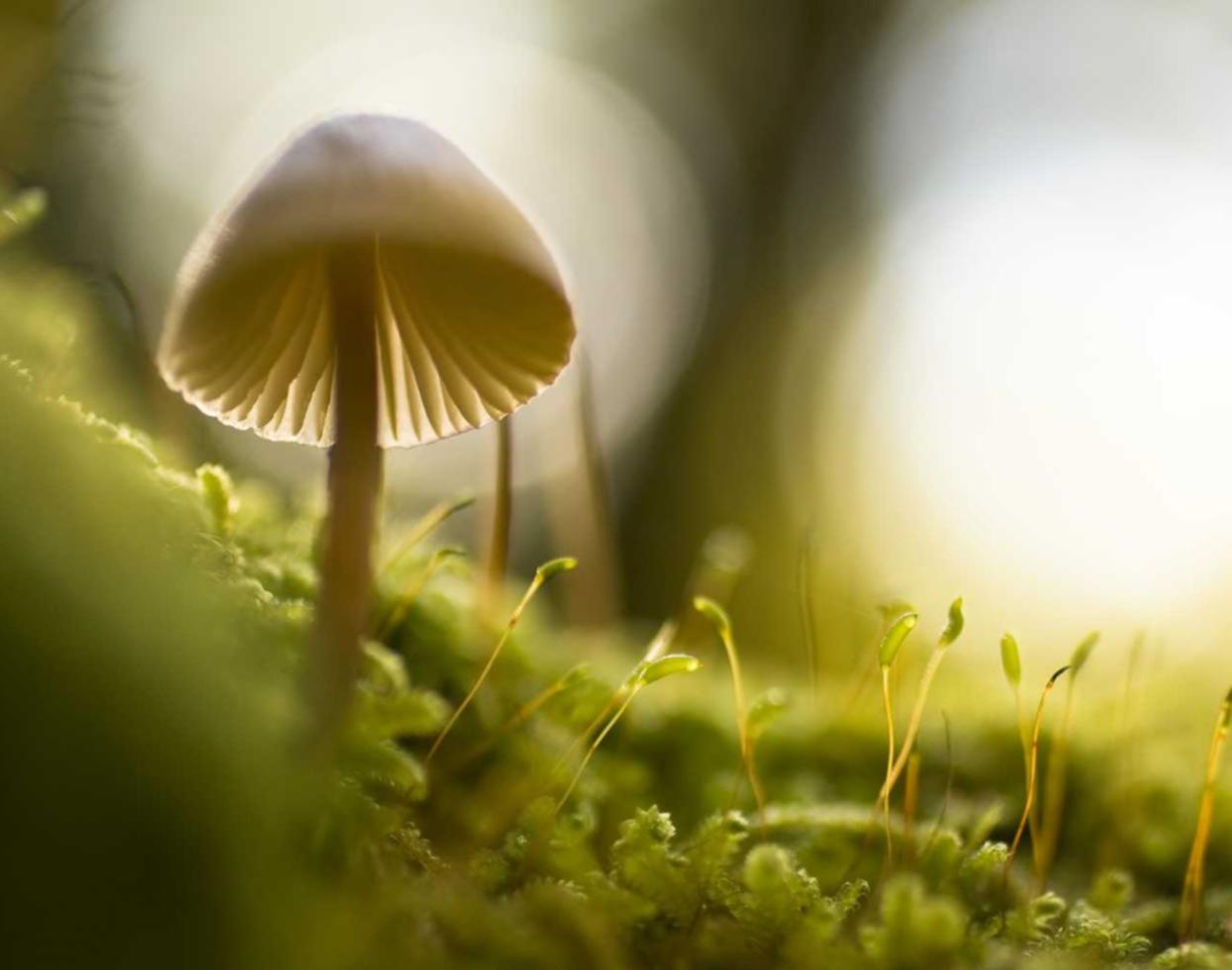 游戏技术支持与个人信息安全的关系：保护好自己的身份