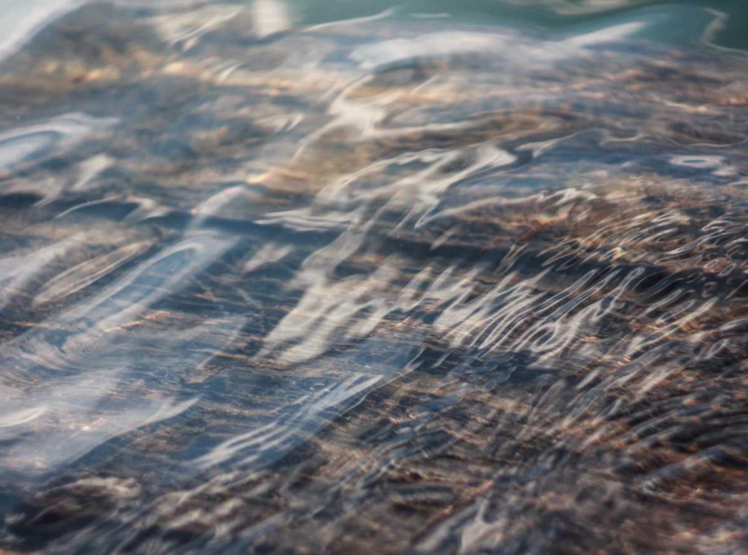 DDOS接单平台|浙江金华公司注册代理