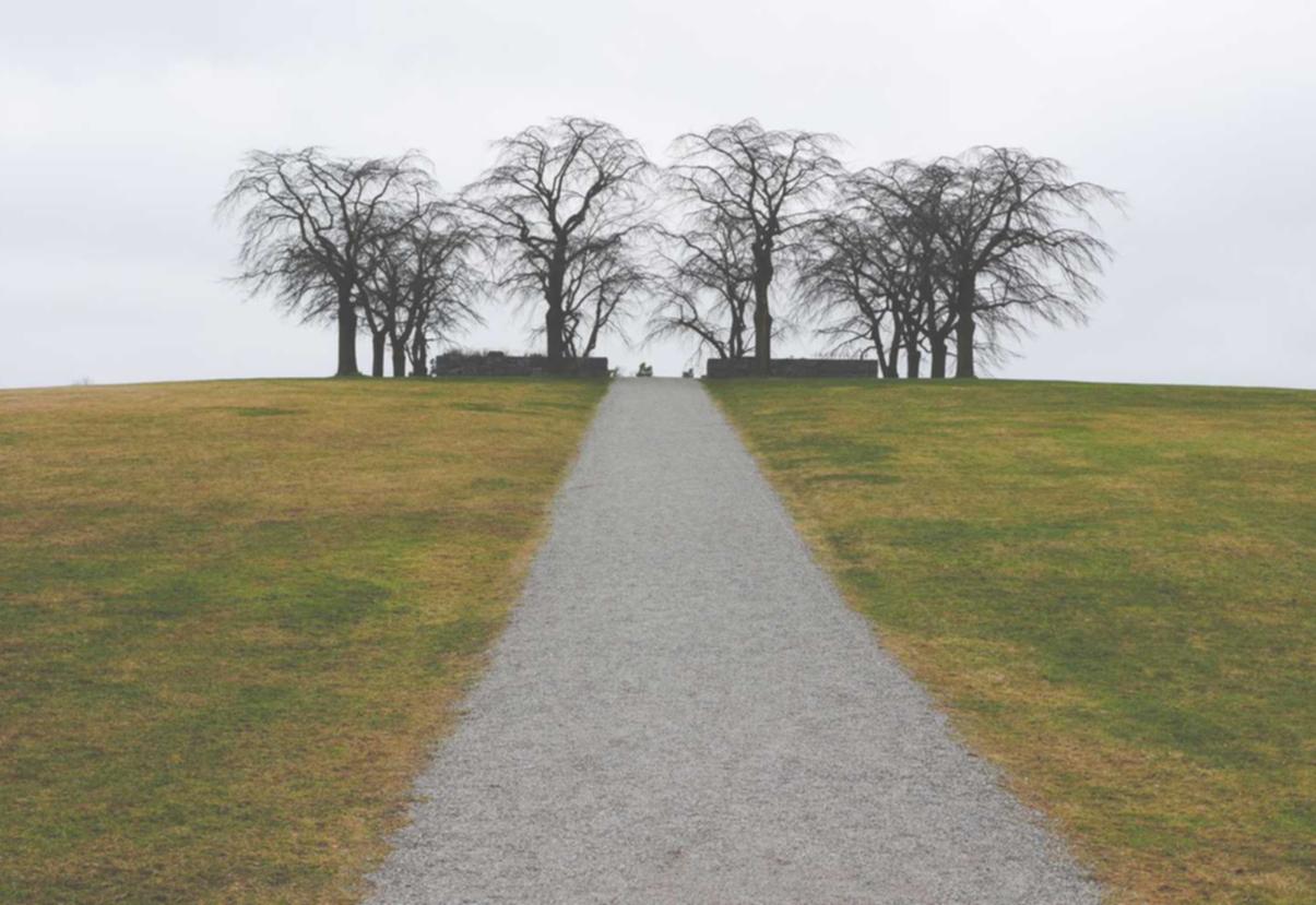 免费攻击网站|注册gpt代理