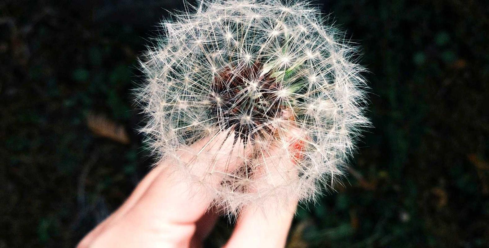 丽晶国际实名账号：一见app详情下载教程