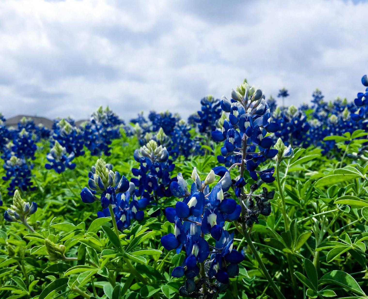 恒行3娱乐,注册|长安区注册工商企业代理