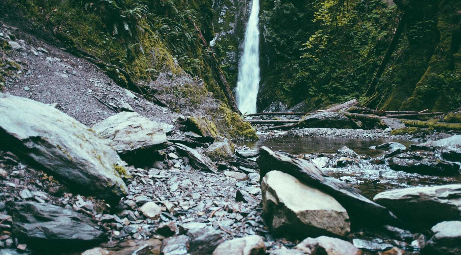 丽江代理商标注册