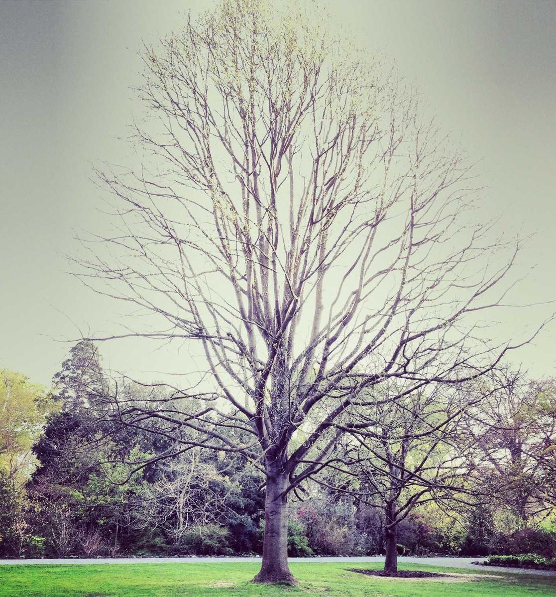 灵魂实名账号：实名制账号：保护网络礼仪，文明交流