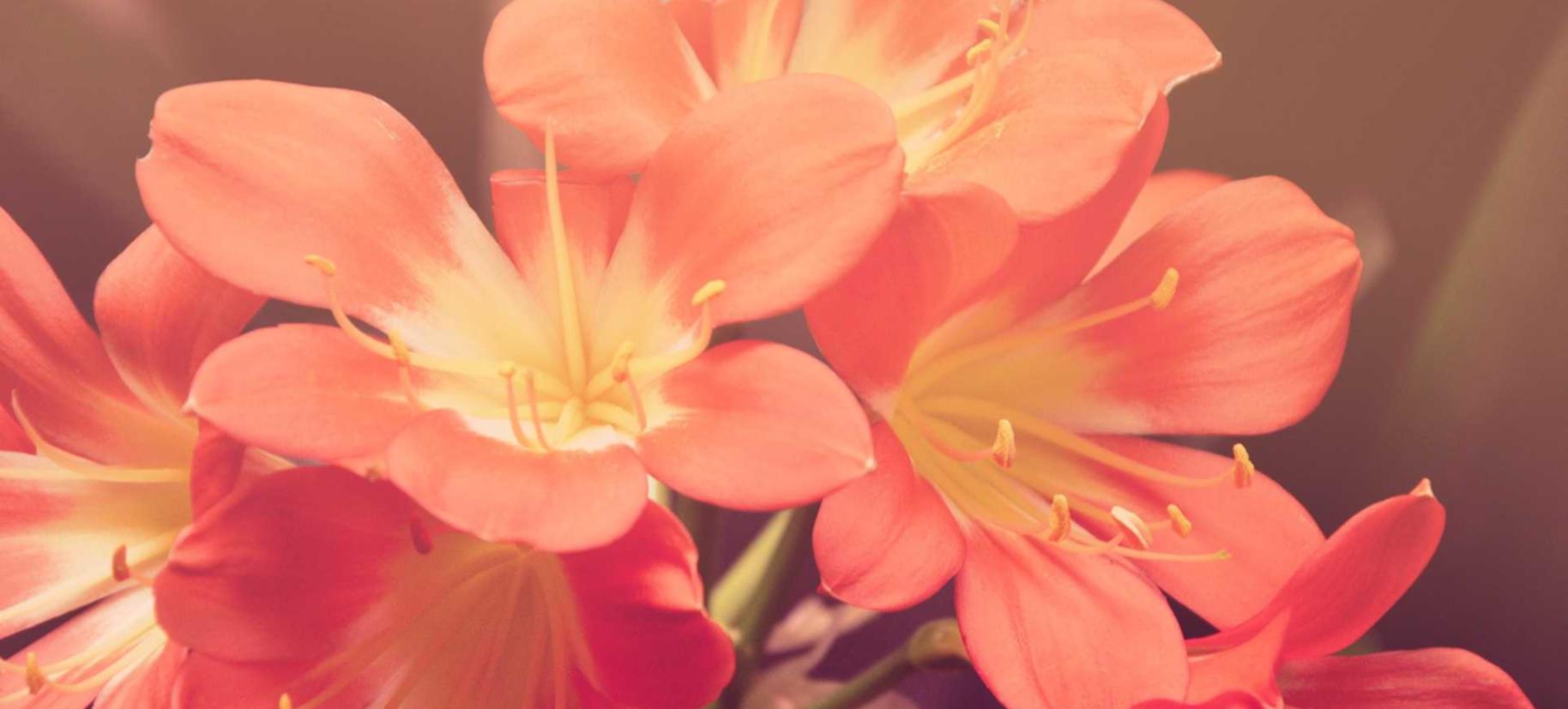 正规的物联卡:蒲江工商注册代理