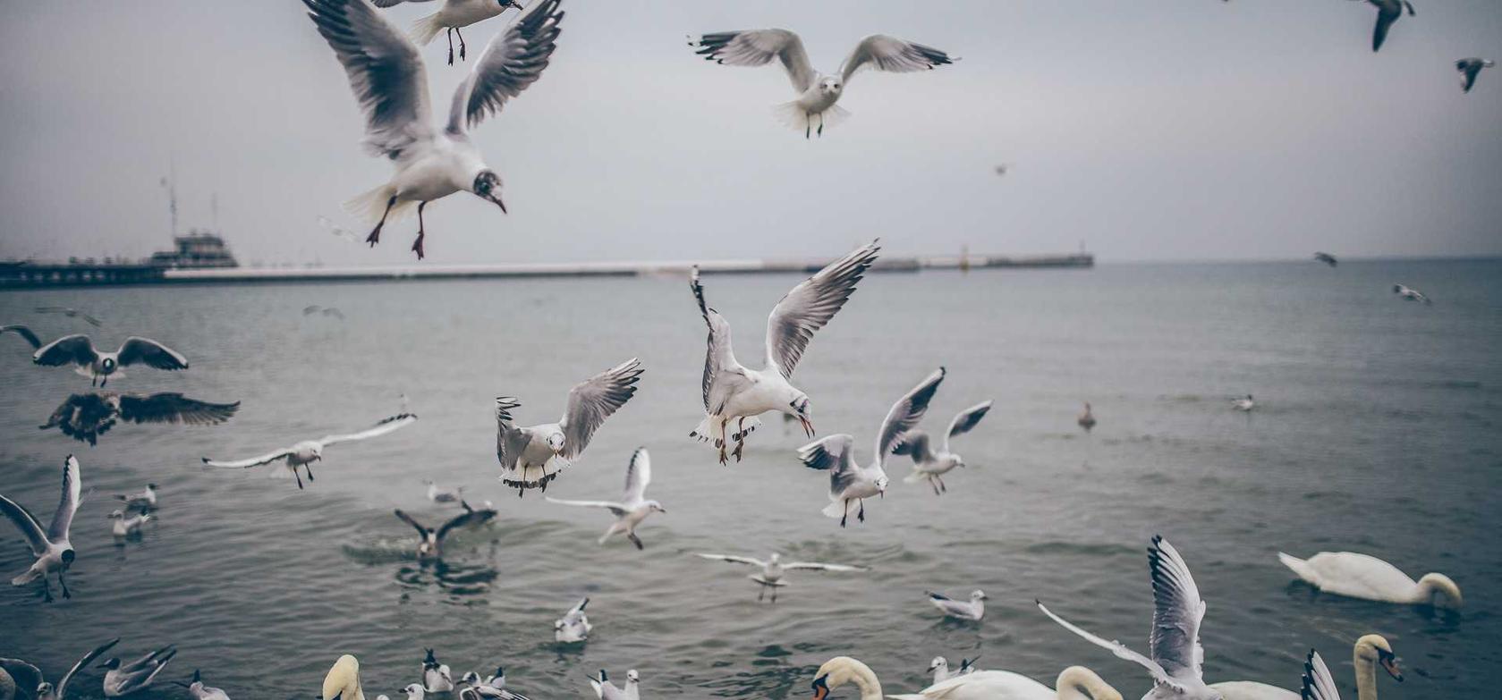 又拍云实名账号：sm娱乐平台注册开户