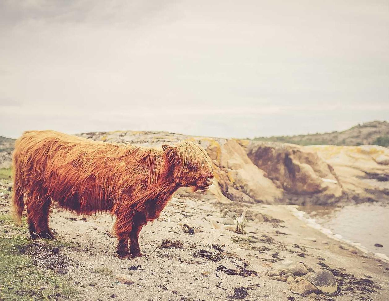 贴吧实名账号：上海市商标注册代理