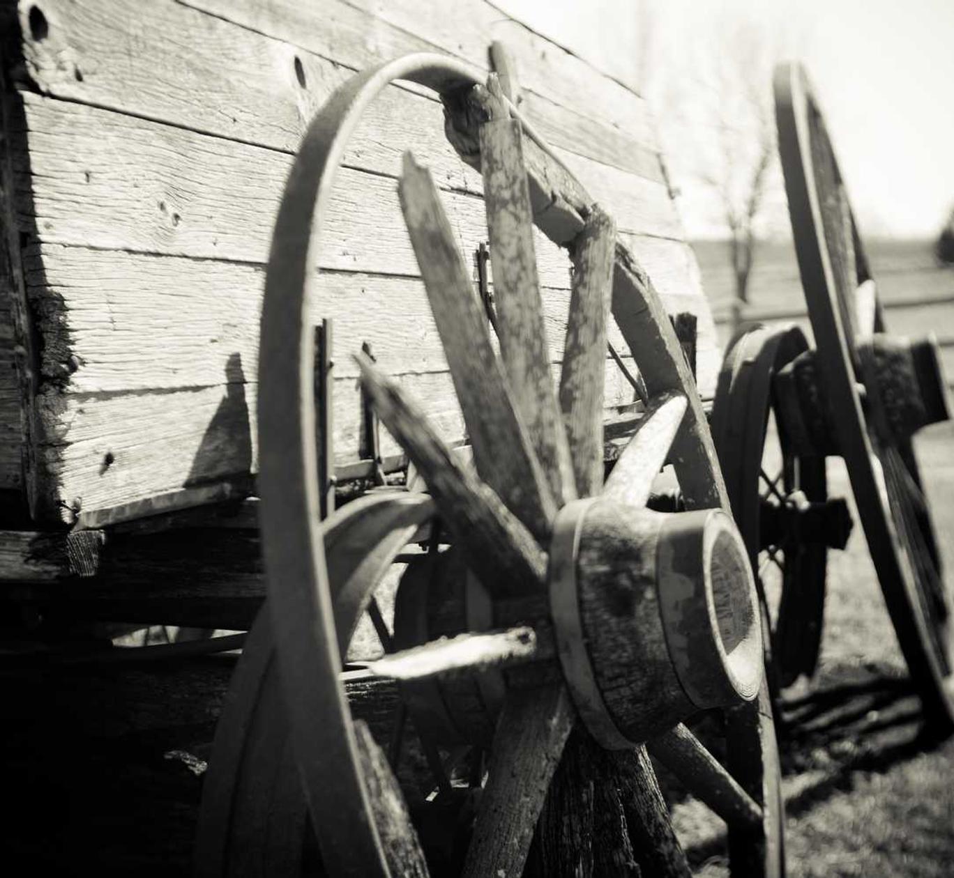 怎样上京东平台药品购买