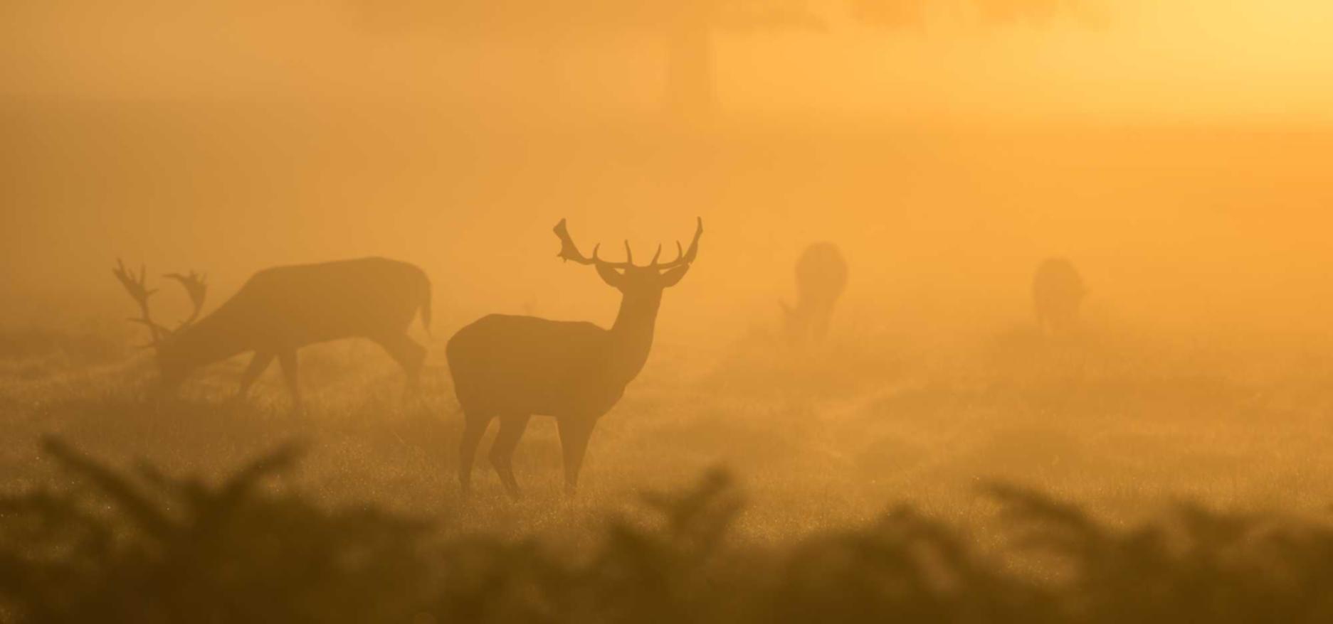 如何增加浏览量 