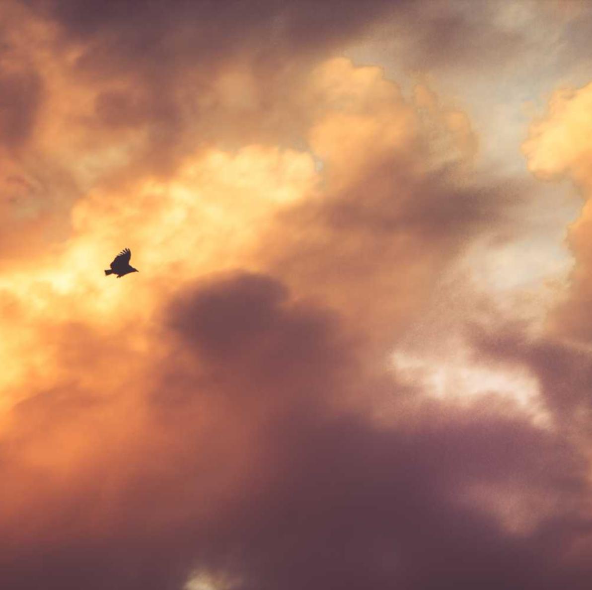 正规得流量卡:为您的品牌创建一个完美的短信模板