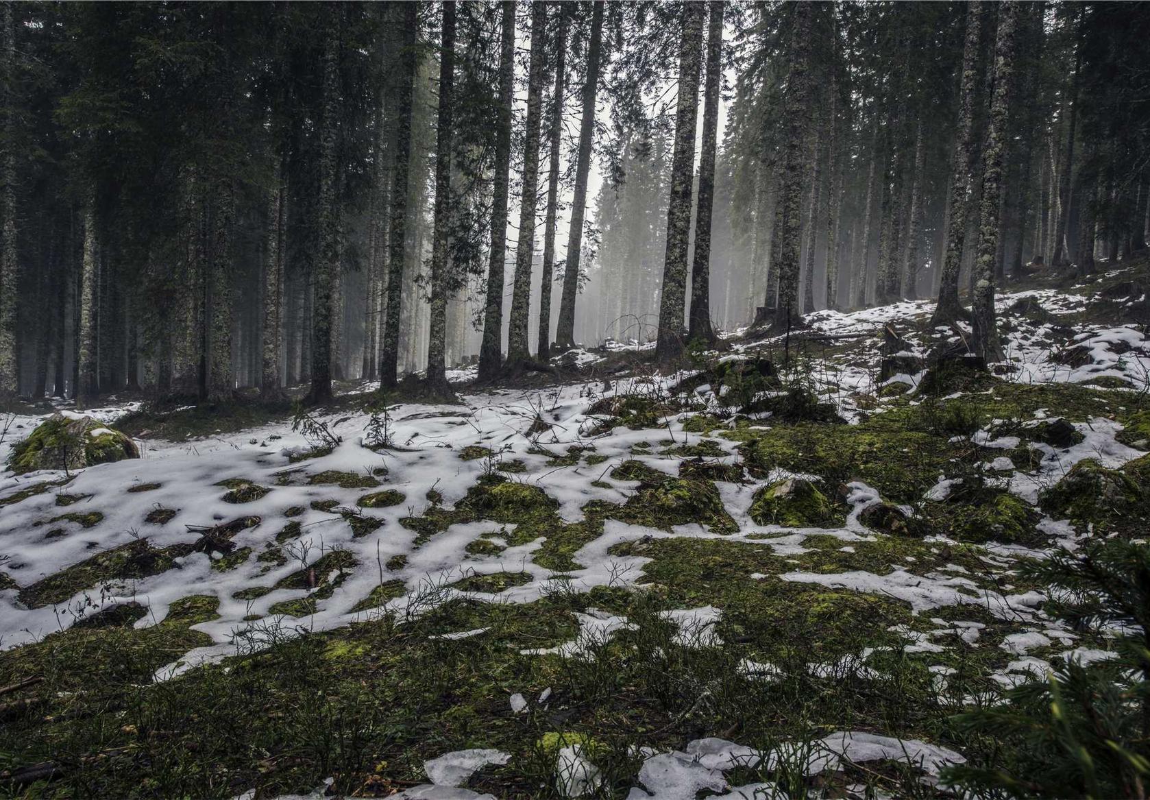 世界各国香烟消费习惯的比较