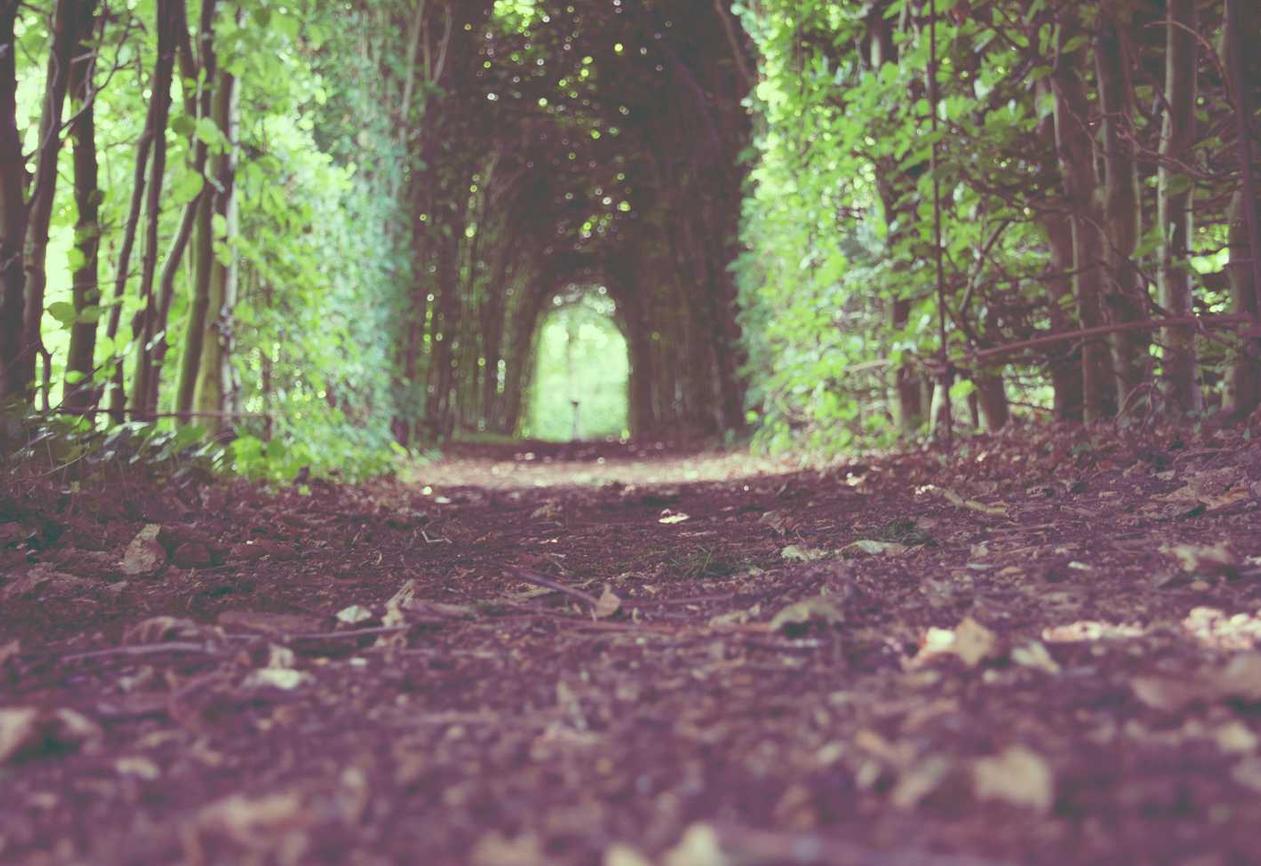 微信批发：短信营销的三大误区及应对策略