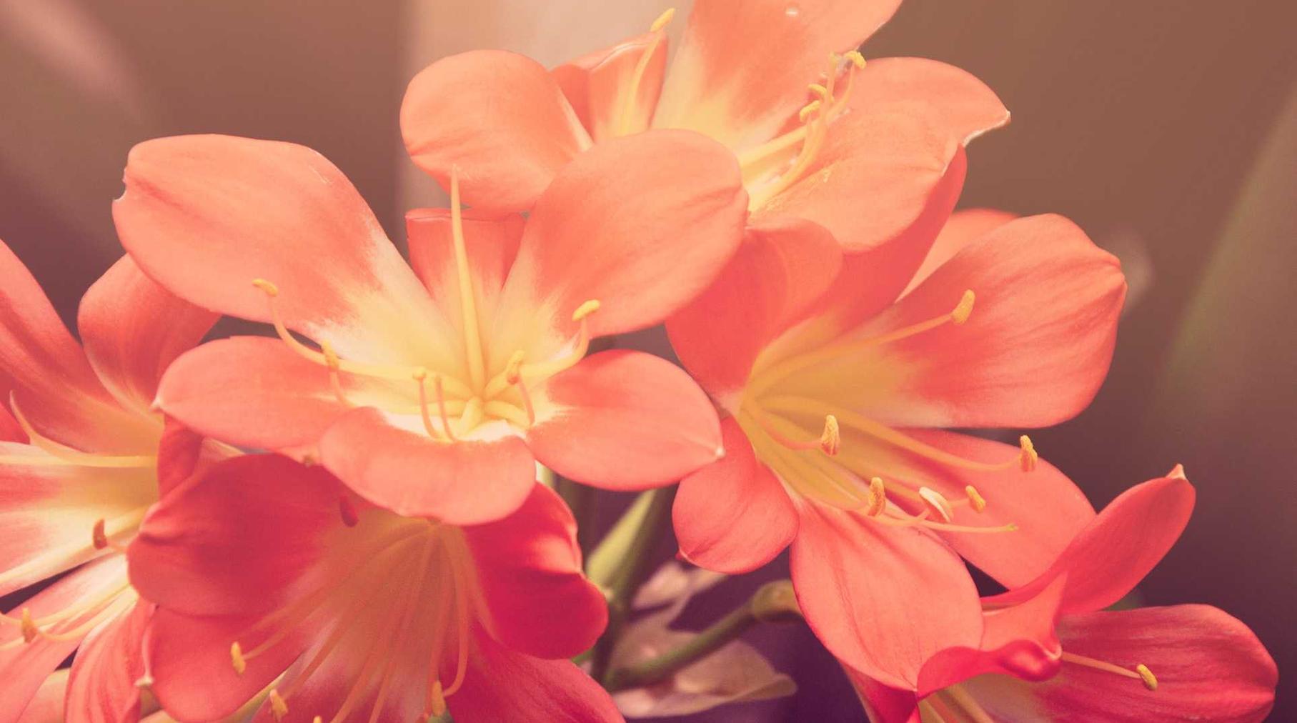 渗透销售：打破心理屏障的顶级技巧