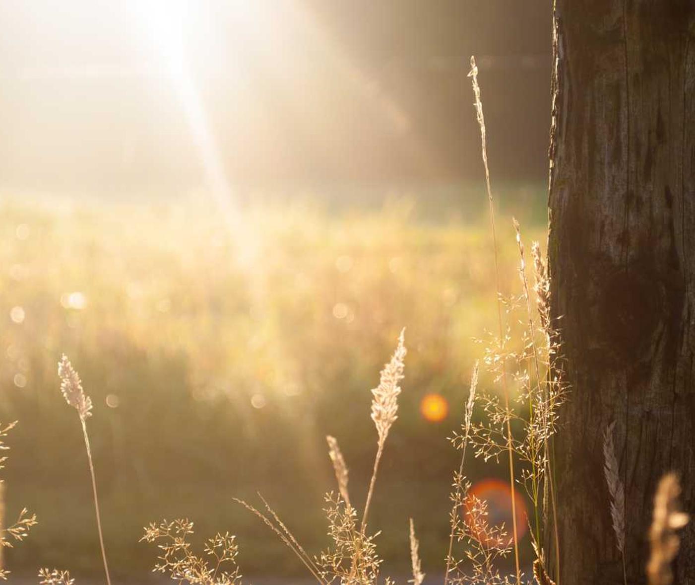 聚星易学课堂账号注册