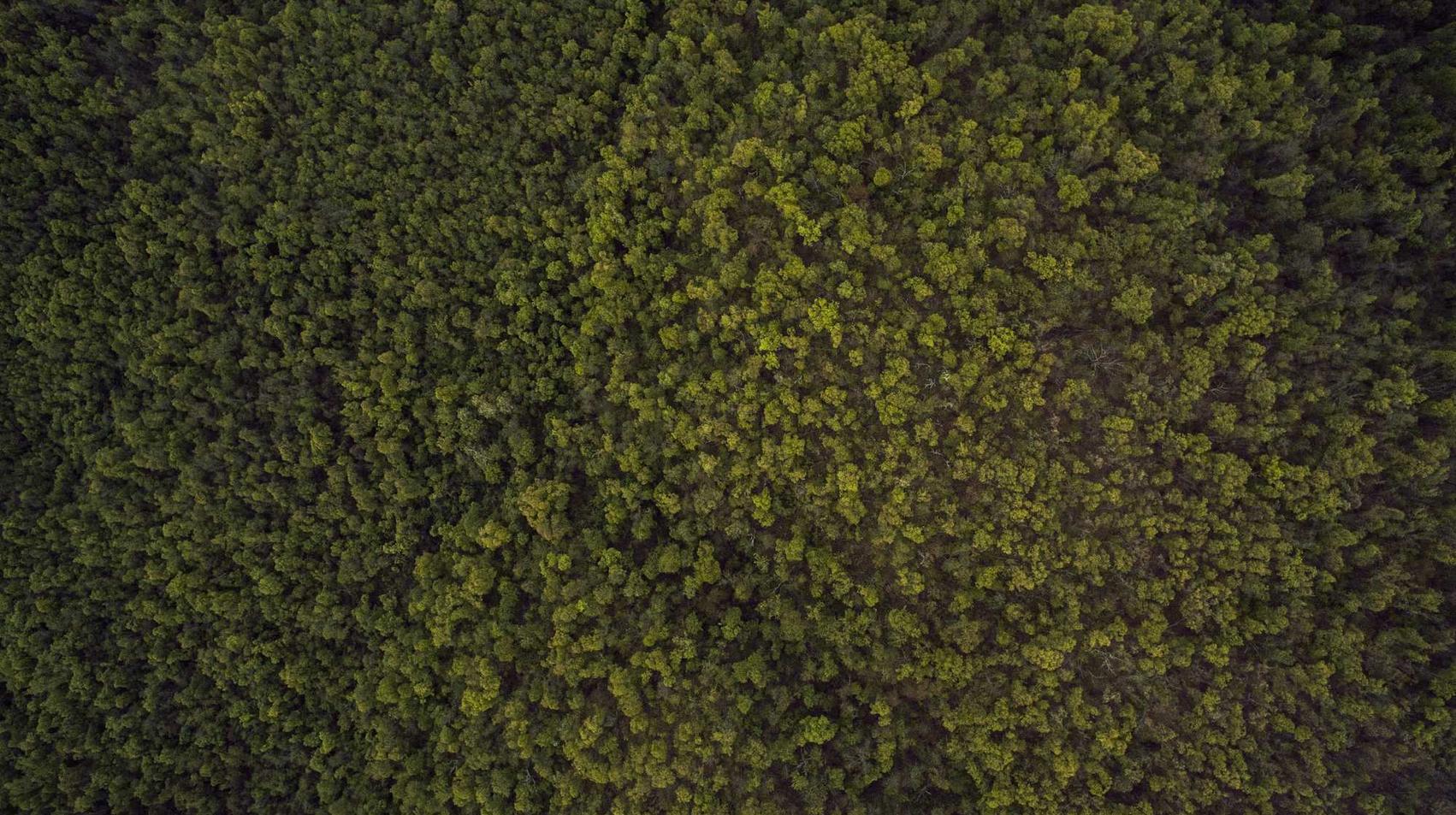 杏耀代理网店怎么注册