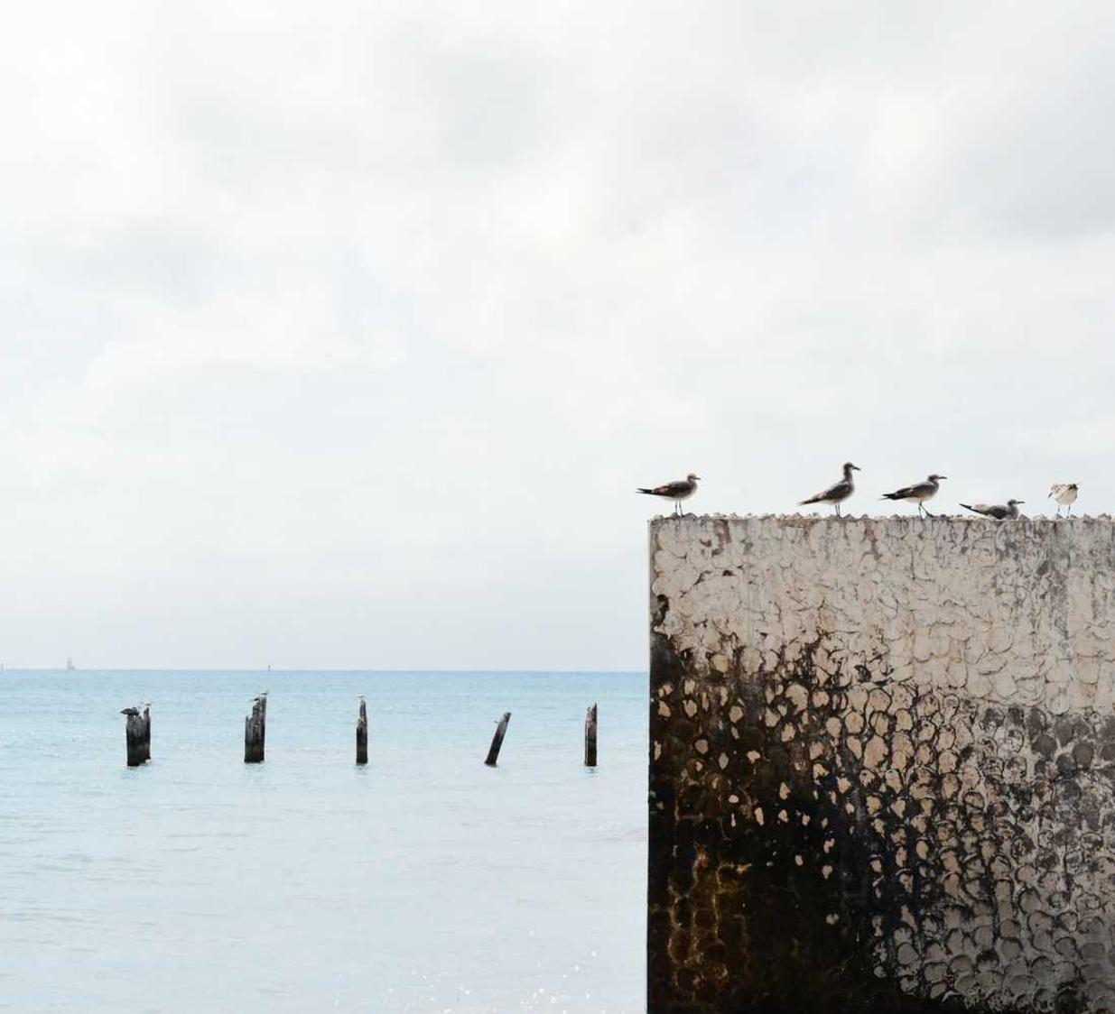 余姚商品期货开户平台