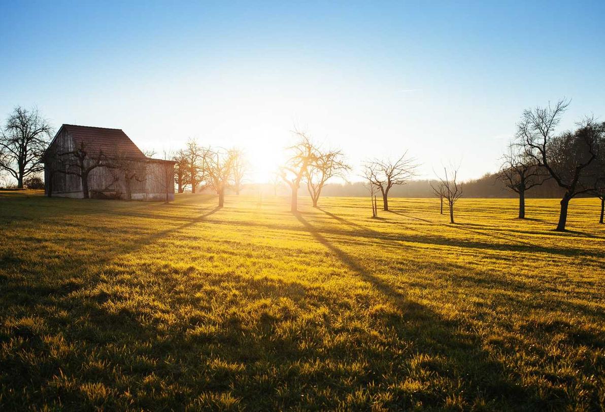 杏鑫同城家电购买平台