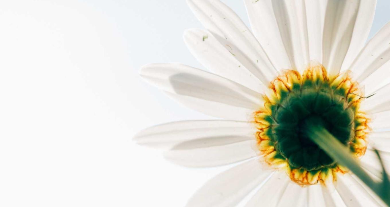 河图寻仙记：茄子快app详情下载教程