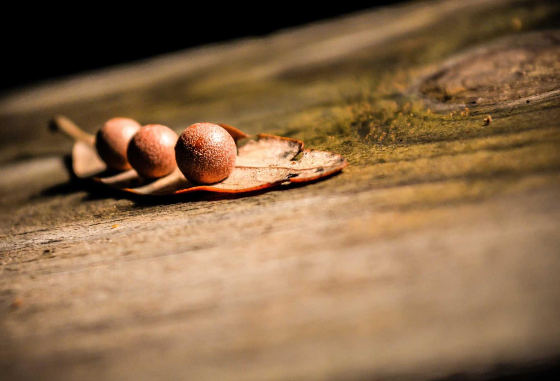 DDOS攻击测试|云世界app详情下载教程