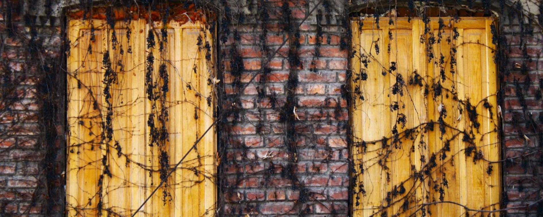 众鑫集团要怎么注册推特账号