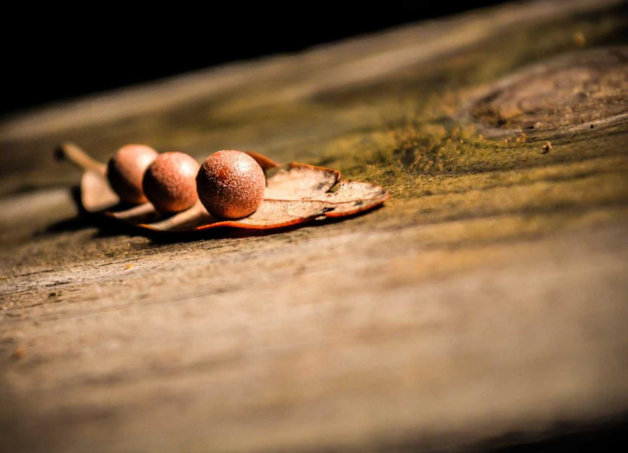 国内微信号:个人商标代理怎么注册