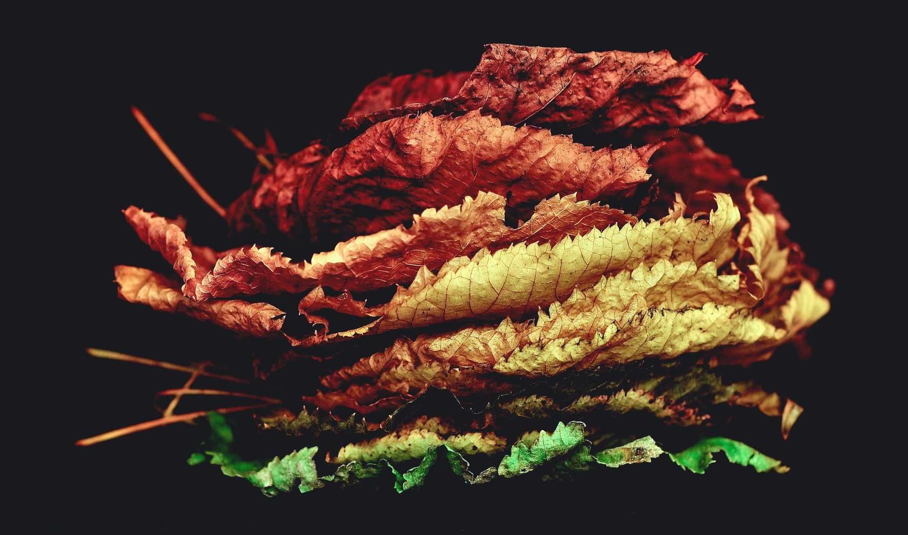 搜狐实名账号：一淘注册账号是什么