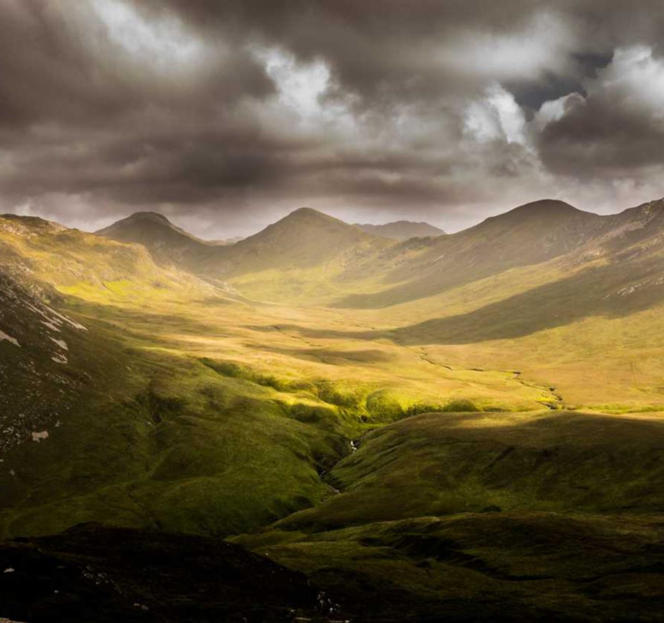 优酷移动实名账号:工商注册代理报价