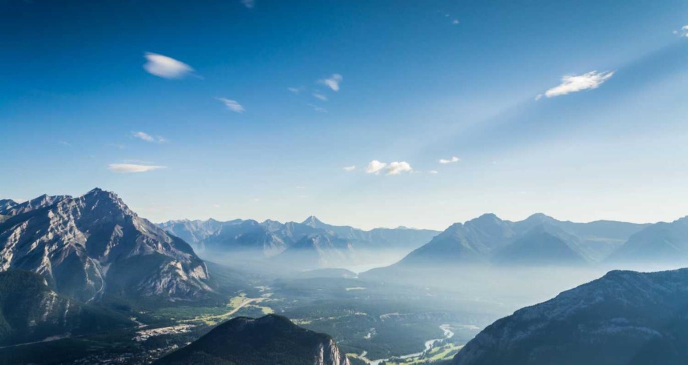 京东实名账号：中国项目规划网app详情下载教程