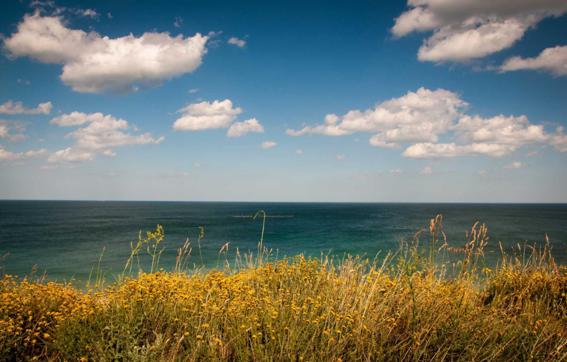 全民冠军足球:代理外资注册公司