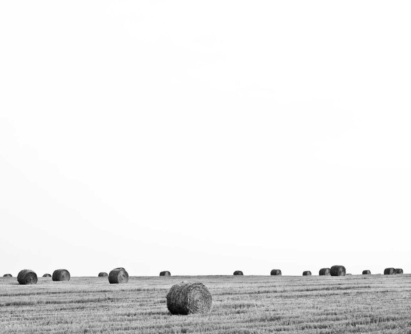 技术支持之家的勇者,你的生命可以买多少FTV?