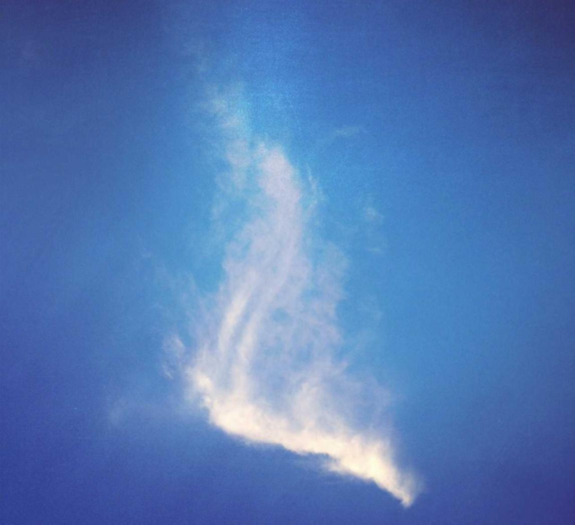 新征途:猫咪社群账号怎么注册