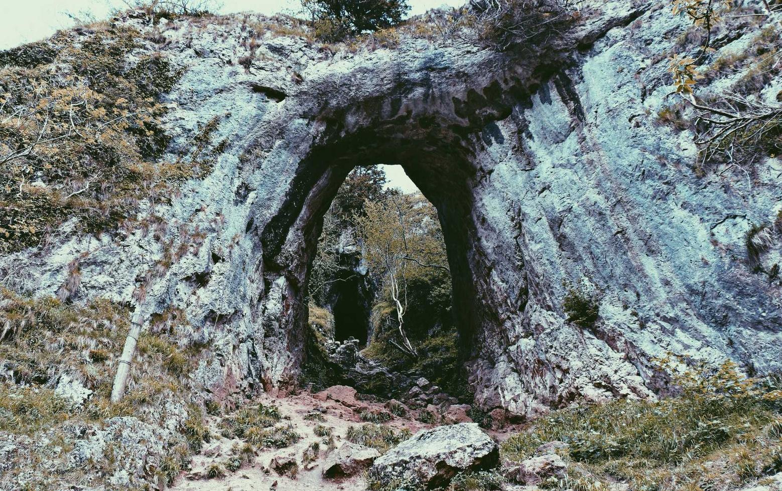 构建强大的安全防线,让服务器攻击无处藏匿!