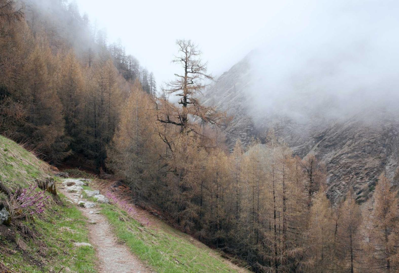 滴滴实名账号:app搬家软件详情下载教程