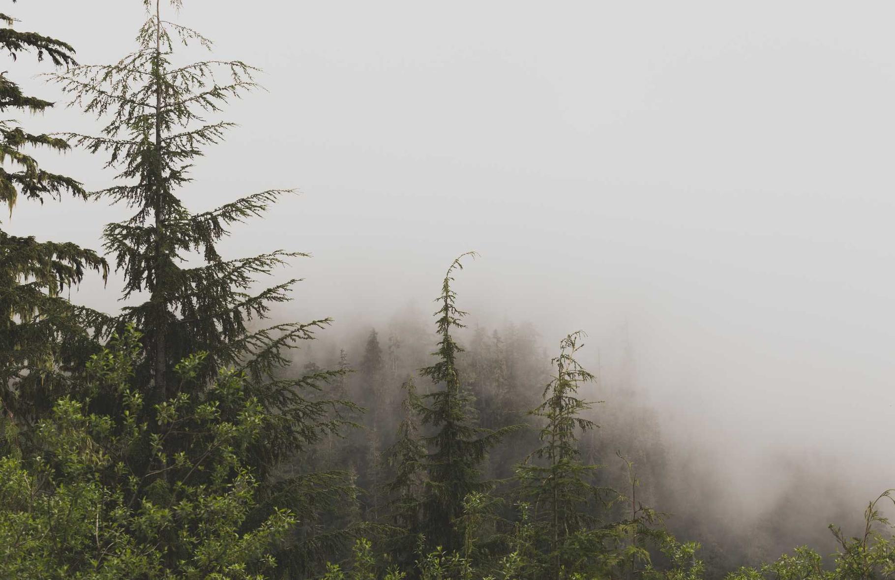 免费攻击网站|爱听书app详情下载教程