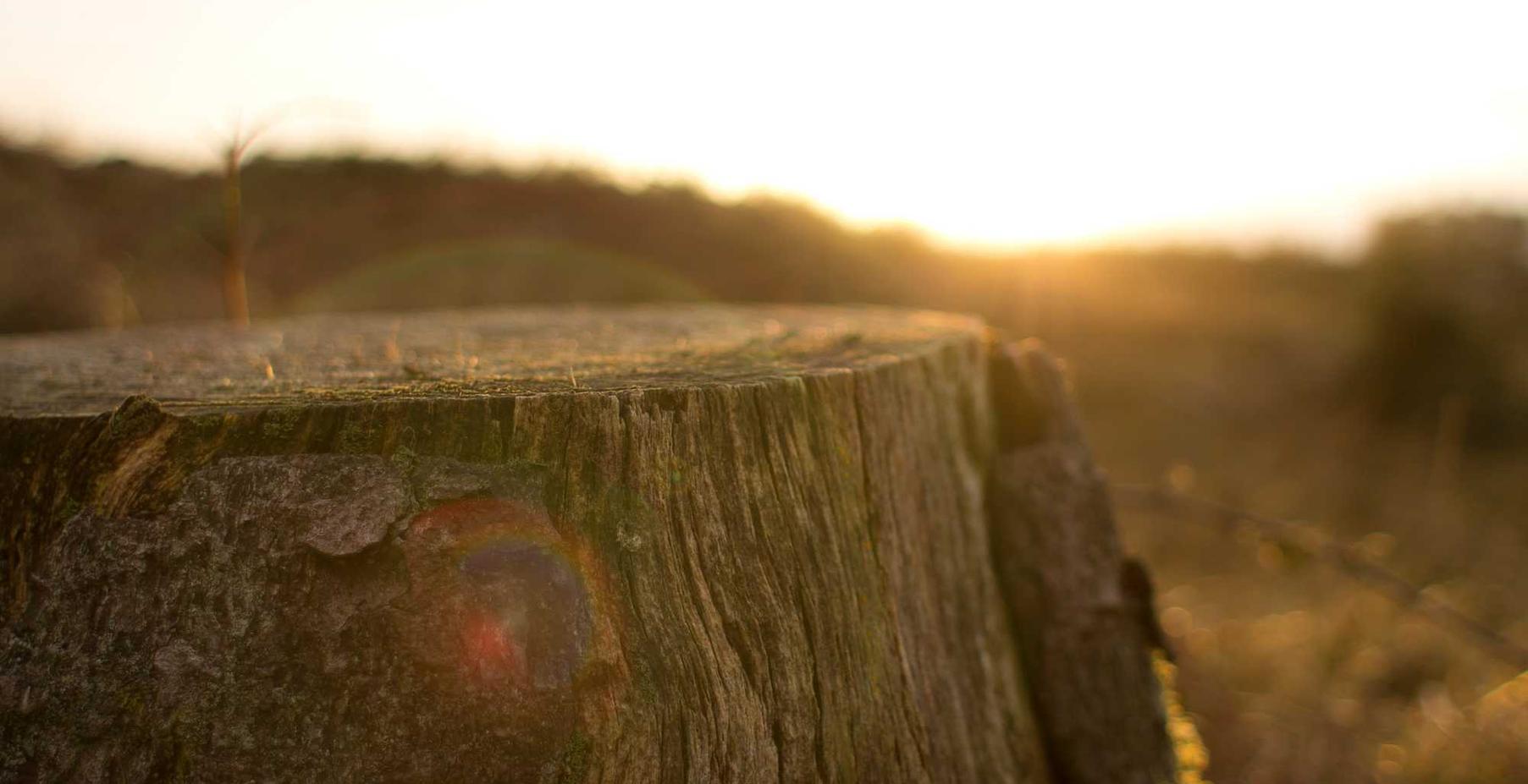 欧盟红万宝路：神笔马良平台代理