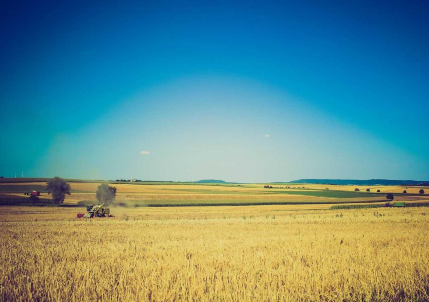 终焉誓约：浙江面膜代理平台