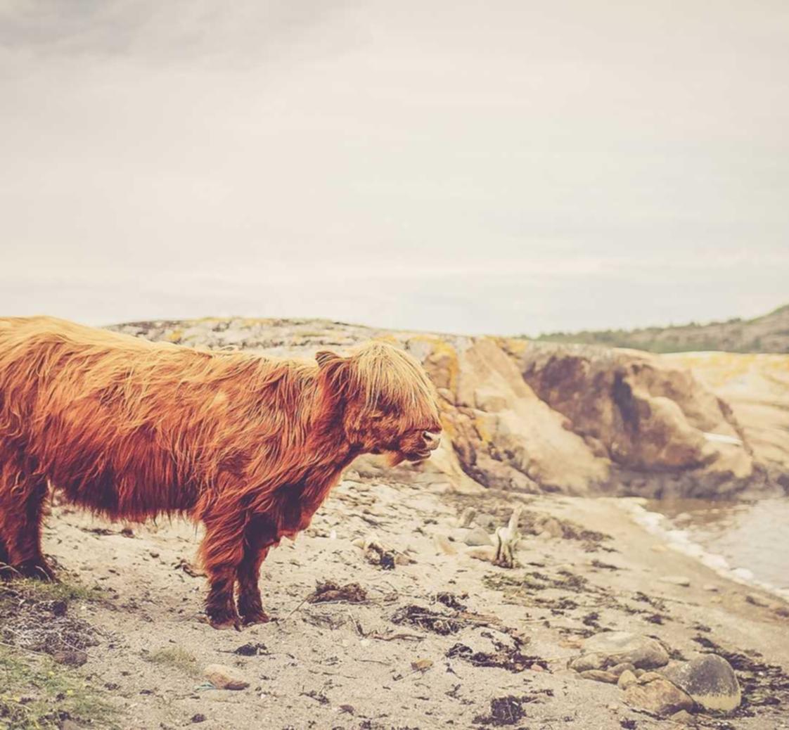 天翼云实名账号：粉丝平台购买流程