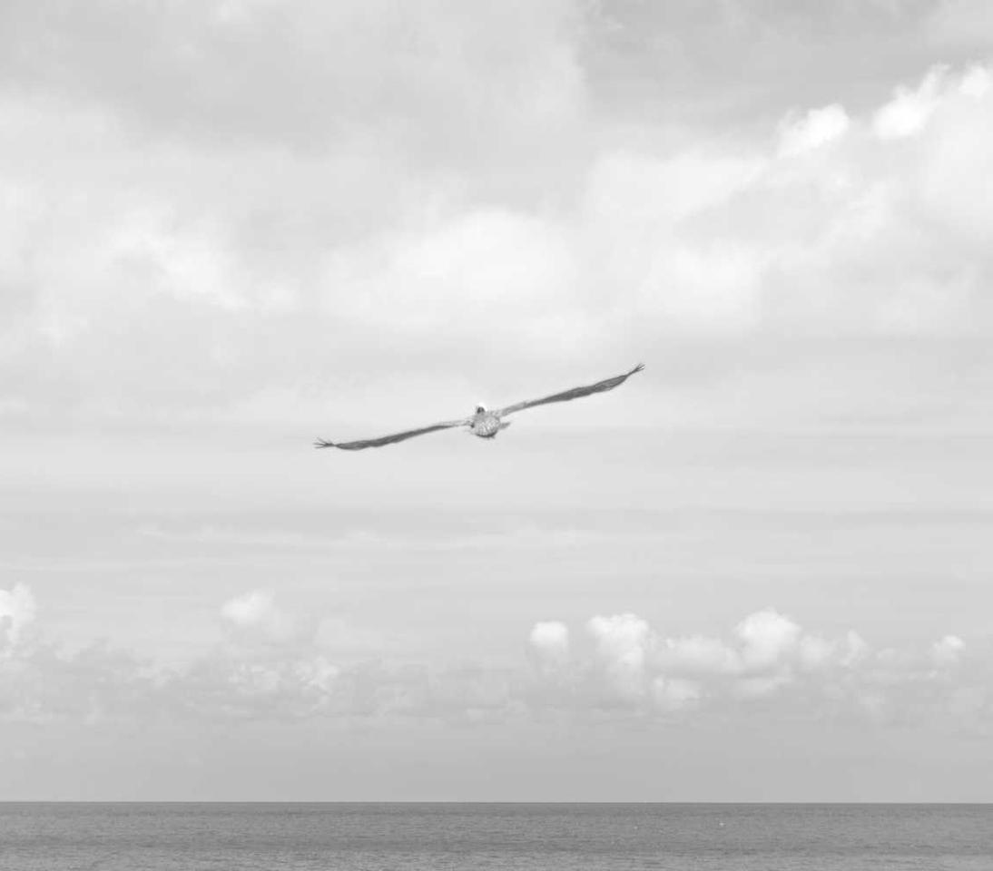 亿速云实名账号：实名账号对于文化传统的保护和传承