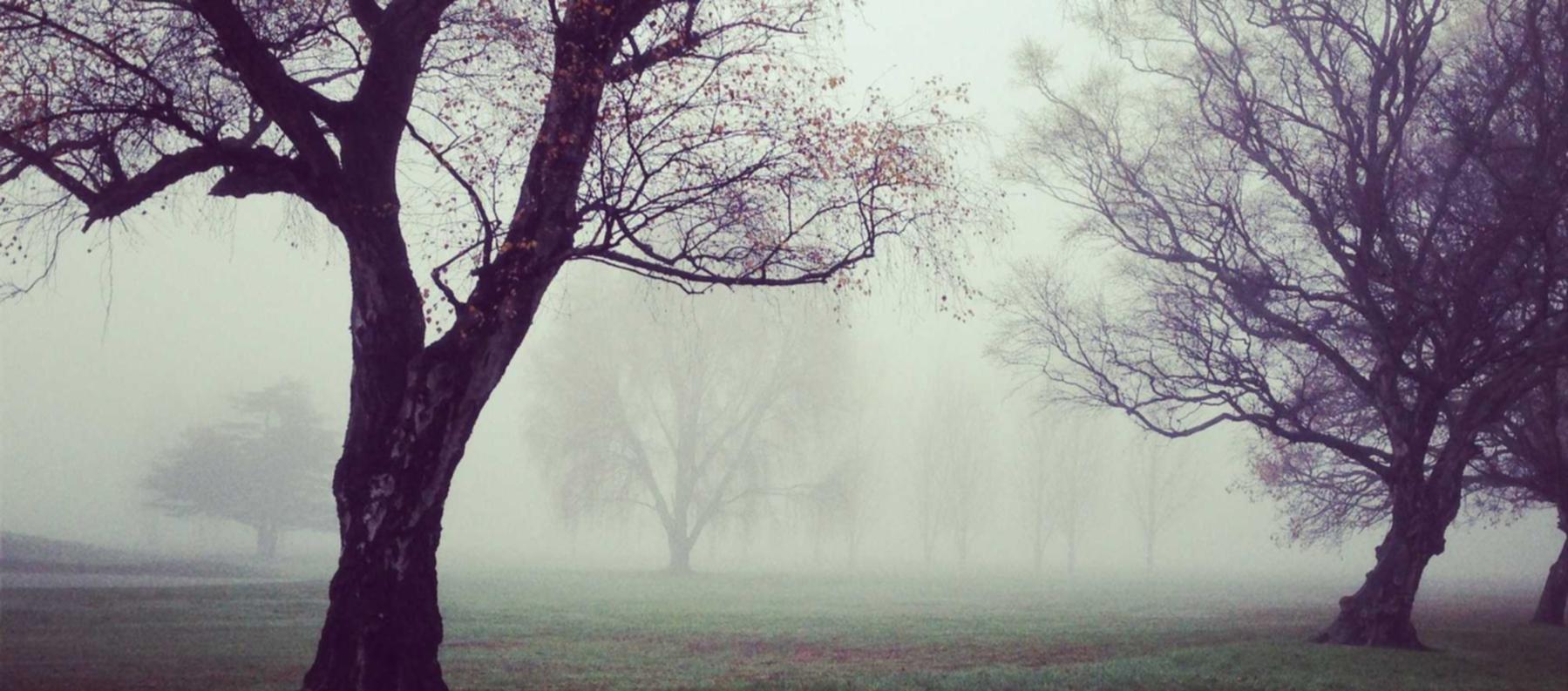 免费攻击网站|湖南书画平台代理哪个好