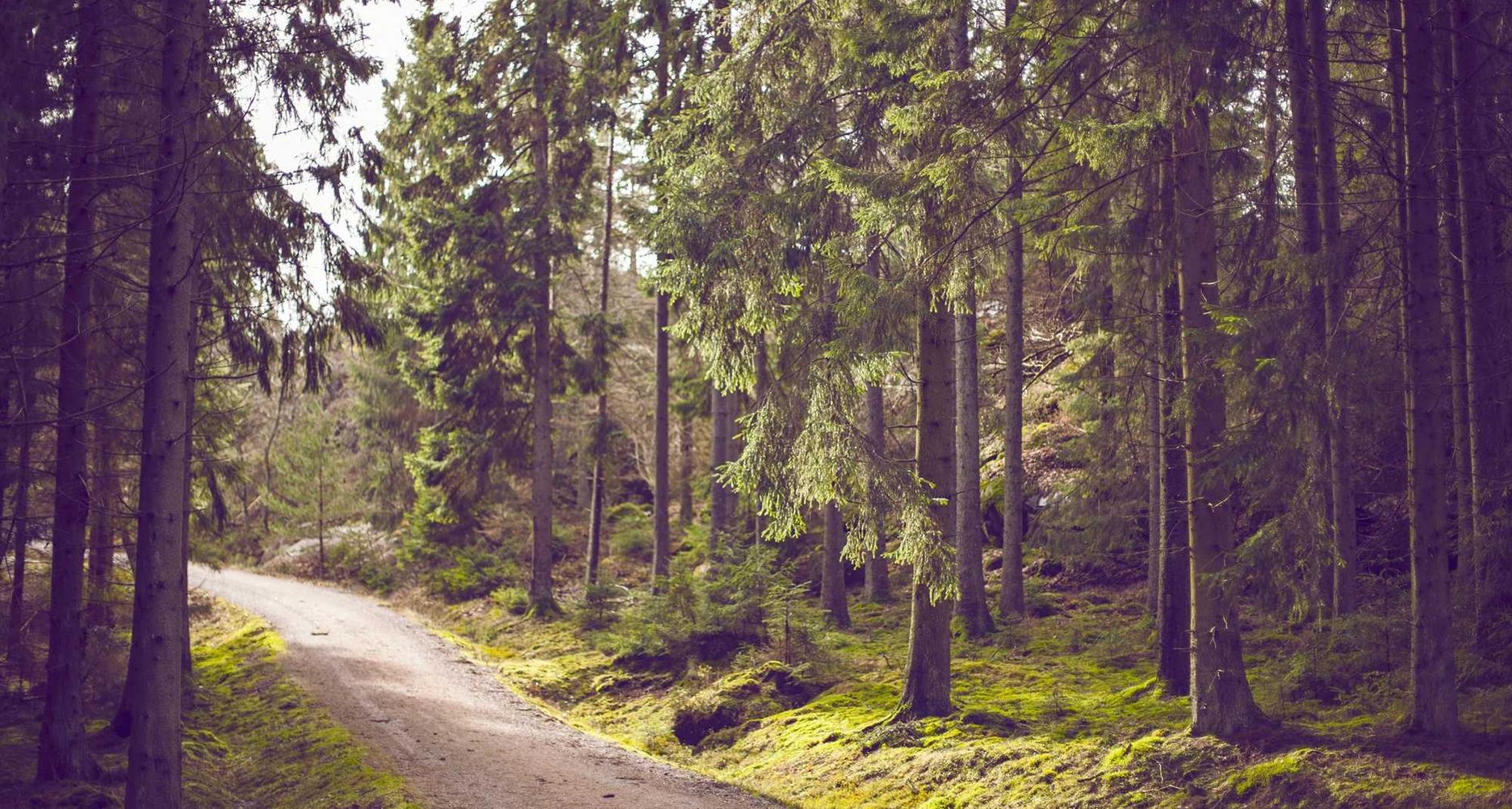 蓝冠在线台服王者荣耀账号注册