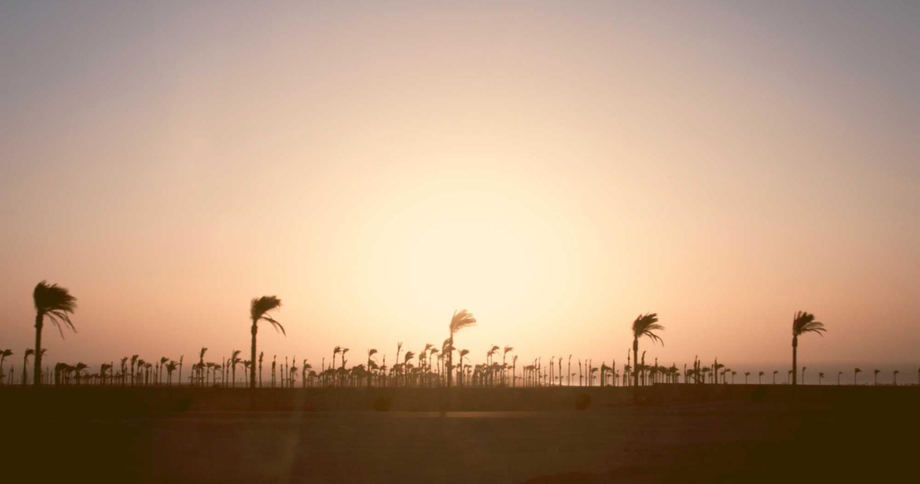 有嘴蓝骆驼：个人购买邮箱怎么注册账号