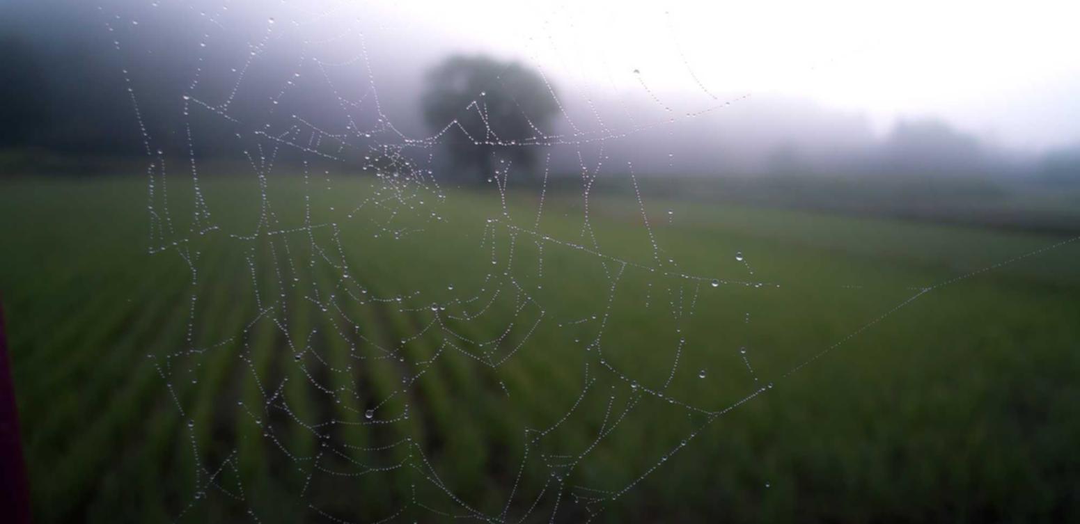 DDOS网页端源码|尿液购买平台