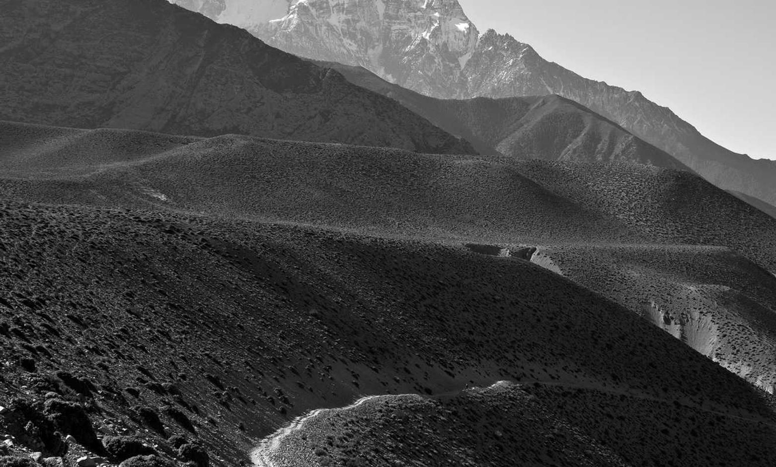 DDOS在线攻击平台|深圳小型工商注册代理